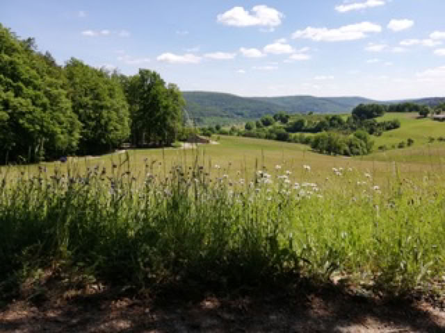 Beratung in Bewegung, Landschaft am Weg